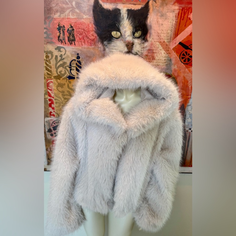 Incredible faux fox fur hooded cropped delicious plush jacket S-M EC